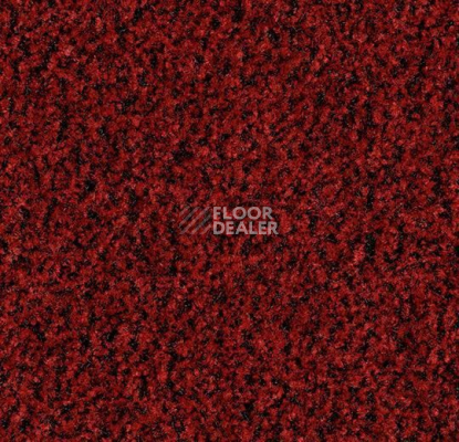 Грязезащитные покрытия Forbo Coral Brush 5723 Cardinal Red фото 1 | FLOORDEALER